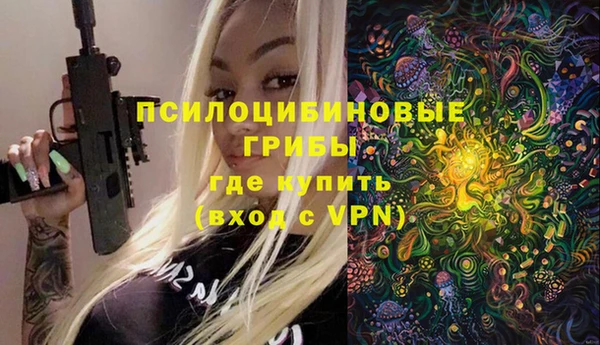 молекула духа Алзамай