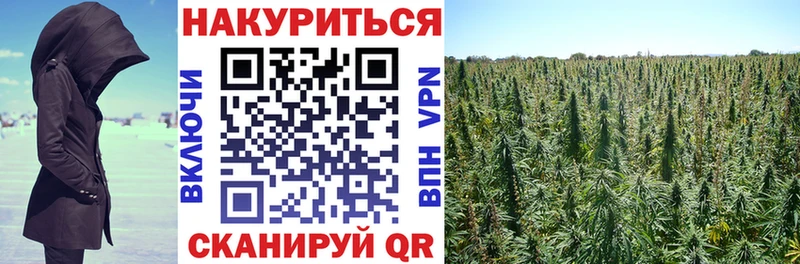 Бошки марихуана Bruce Banner  как найти наркотики  Боровск 